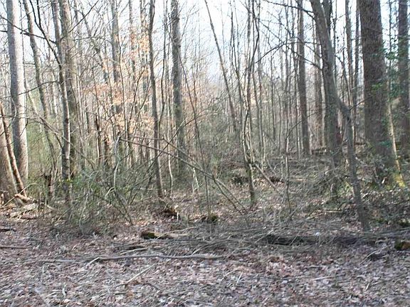 5th image of 0 Finchum Lot 0