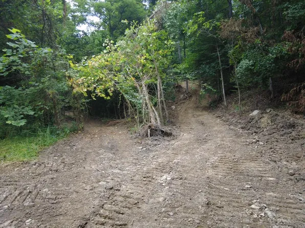 Nace Run, Stout, OH 45684