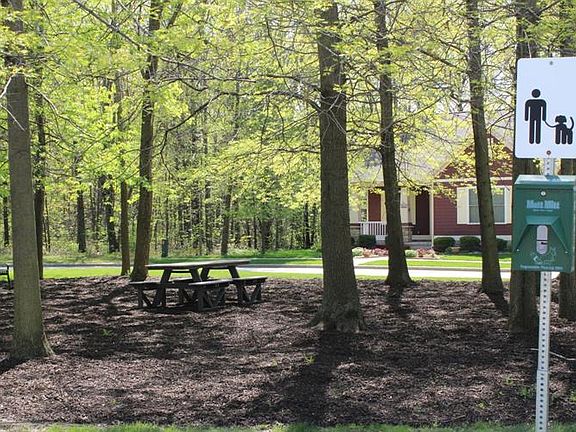 5th image of 347 Canfield Ln