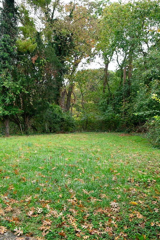 3 bed, 1.0 bath, 1170 sqft, $2,100 — Photo 3