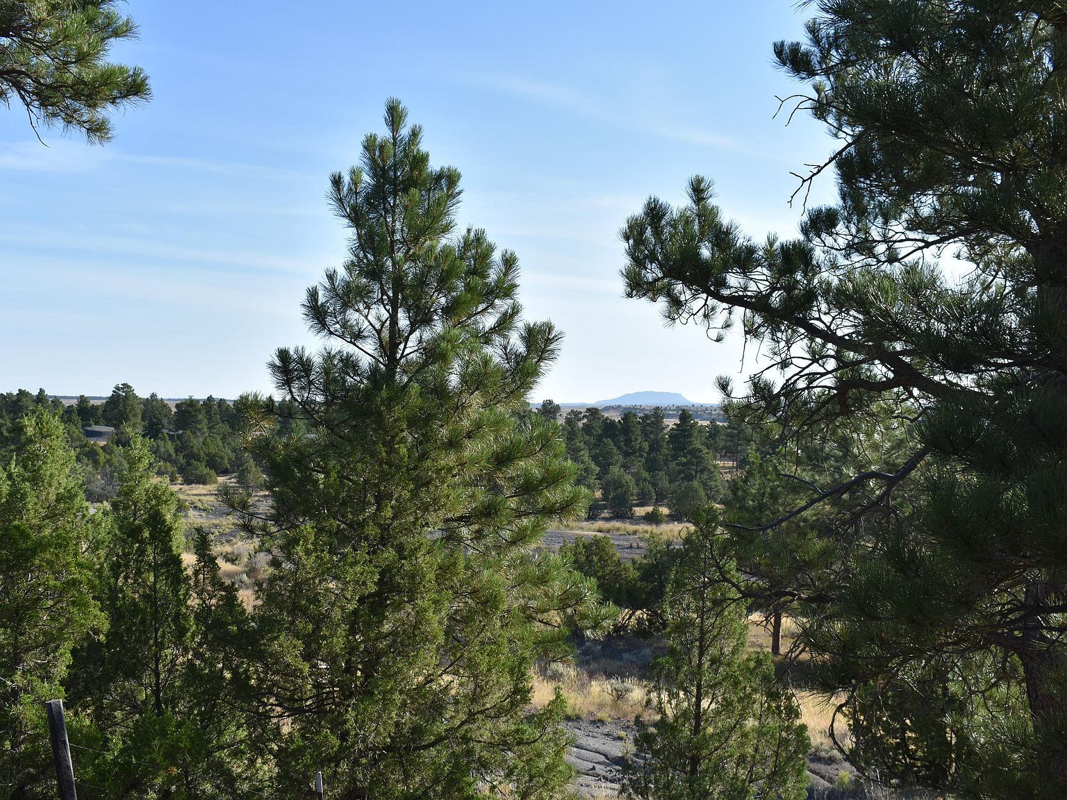 2543 Highway 16, Upton, WY 82730 Zillow