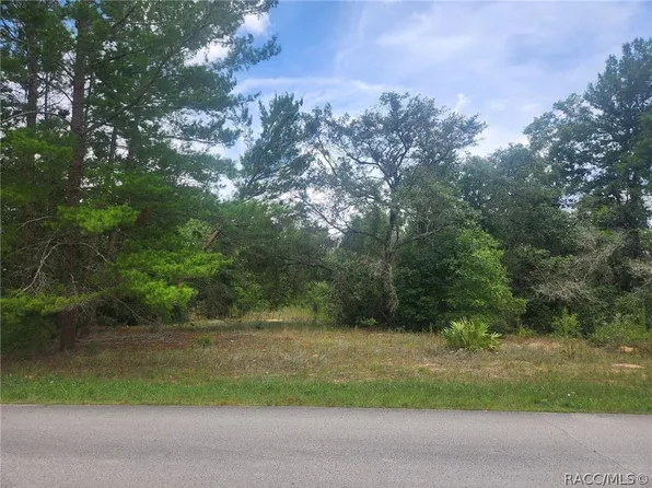 724 E Savoy St, Lecanto, FL 34461