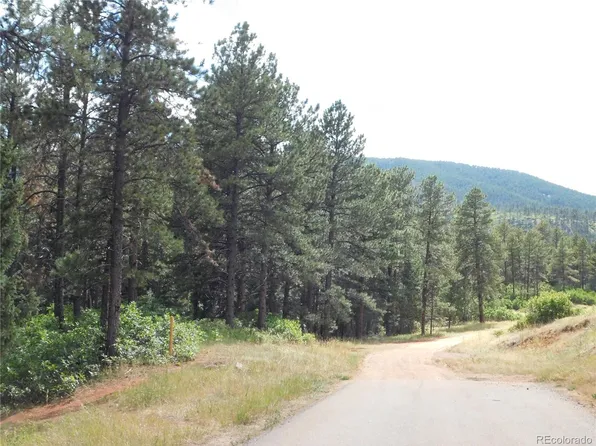 8169 Bannock Drive, Larkspur, CO 80118
