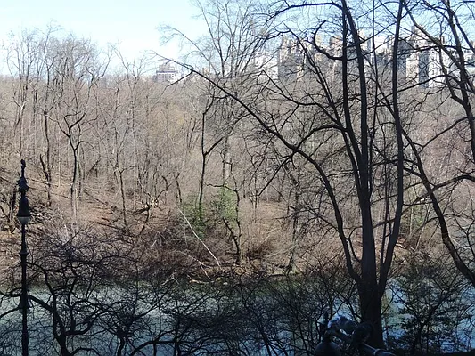 Rented by essential NEW YORK Real Estate | media 29