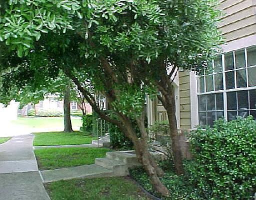 1st image of 13 CROSS CANYON ROAD #0
