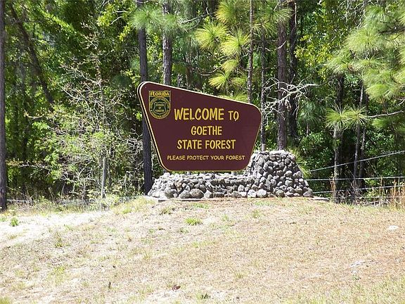5th image of NW BUENA VISTA ROAD LOT 13