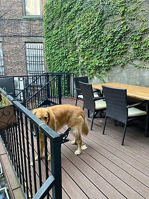 Sold by Corcoran | media 13