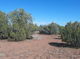 24 County Road 8063, Concho, AZ 85924