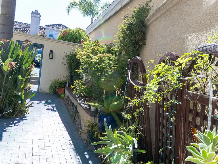Front Yard