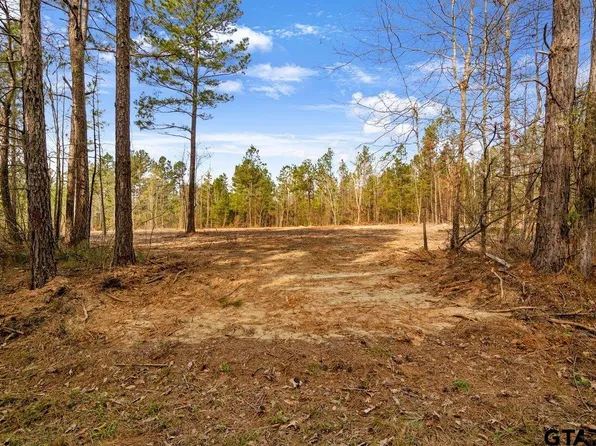 19210 County Road 2154 Lot 5, Troup, TX 75789