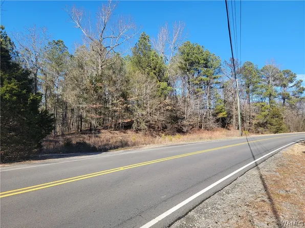 2 Romulus Rd, Coker, AL 35452