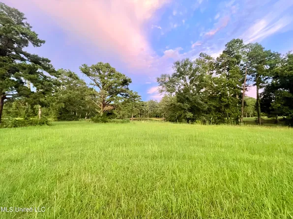 Lilly Rd Lot 2, Crystal Springs, MS 39059
