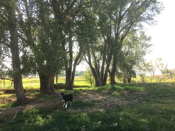 Unassigned County Rd #Y43, Norwood, CO 81423