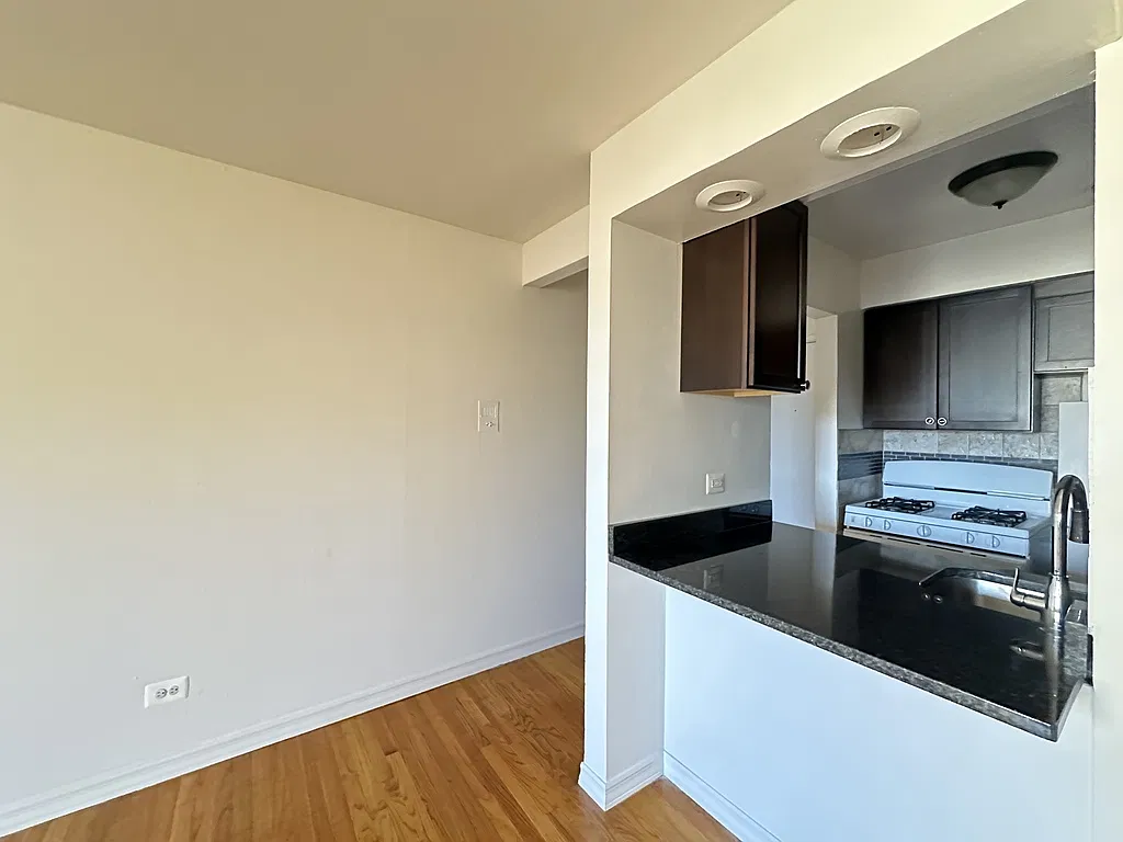 Attractive Studio, 1 Bath at Sheridan + Farwell (Rogers Park) — Photo 3