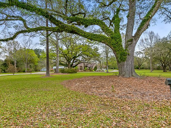 Front view from the street
