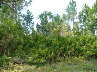 5 Ulmaceal Path, Palm Coast, FL 32164