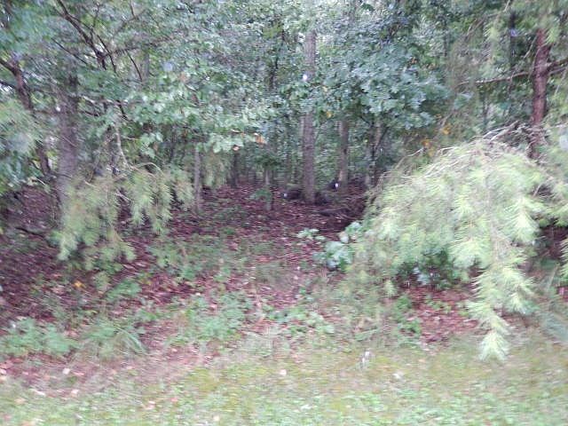2nd image of 185 Meadowview Dr