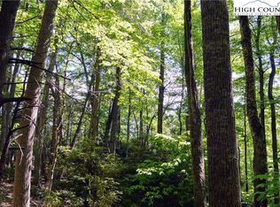 Shady Bark Or Poplar Grv, Boone, NC 28607