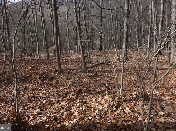 22556 Loop Rd, Doylesburg, PA 17219