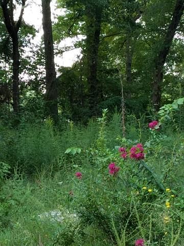 1st image of 15367 County Road 3425