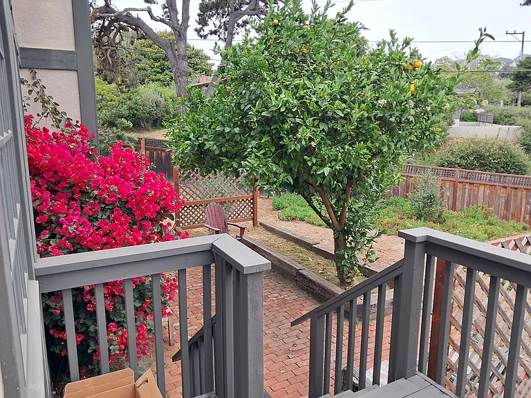 Cliff Dr — Photo 15