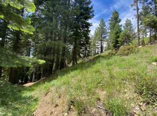 1686 Skyline Dr #237, Arnold, CA 95223