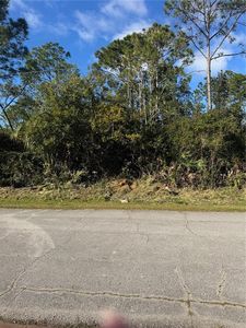 50 Wheeling Ln Lot 14, Palm Coast, FL, 32164