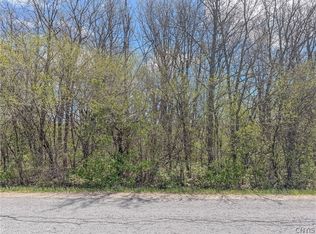 Old Town Springs Rd Lot 14, Chaumont, NY 13622