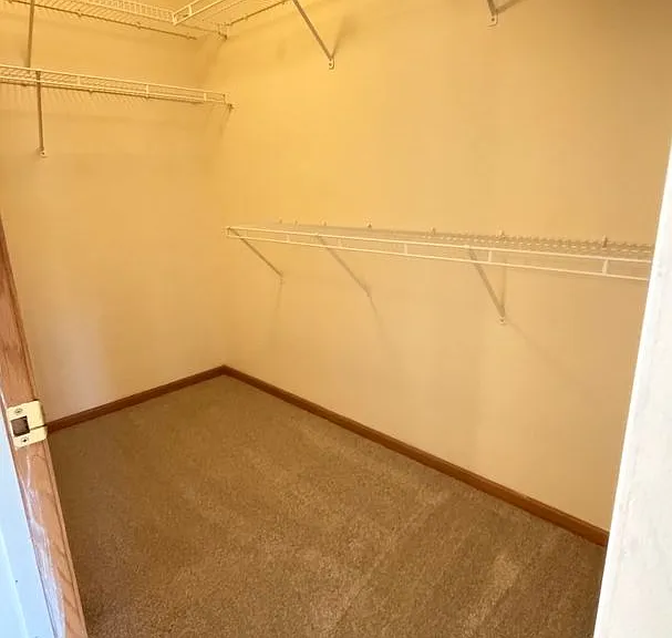 3339 Coleshire Path — Photo 19