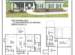 242 Reserve Pl LOT 15, Senoia, GA 30276