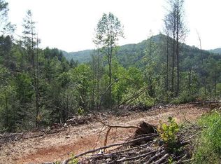 50 Camp Branch Rd, Topton, NC 28781