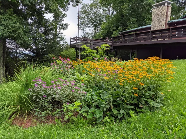(undisclosed Address), Cullowhee, NC 28723