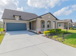 8296 Olive Brook Dr, Wesley Chapel, FL 33545