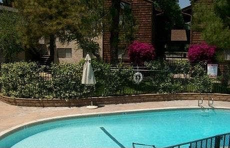 Amber Pines Pool