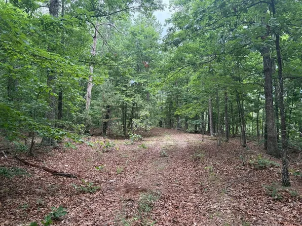 Highway 21, Ellington, MO 63638