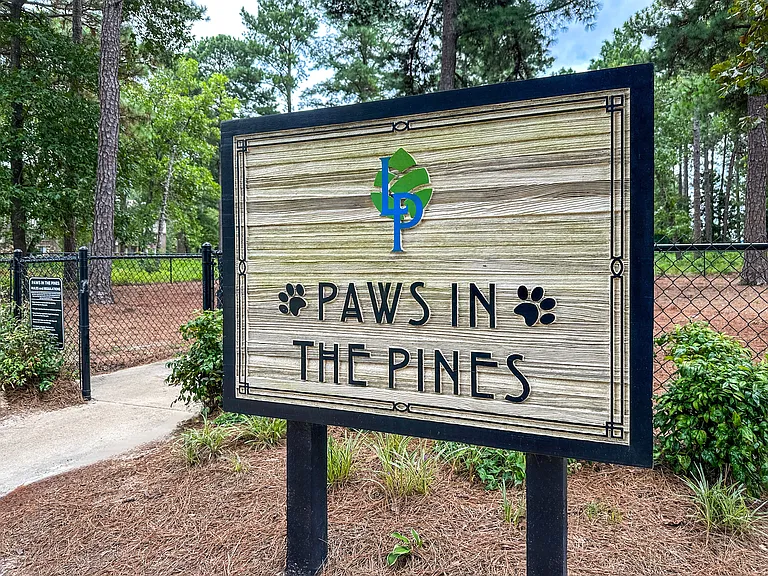 Lake in the Pines — Photo 30