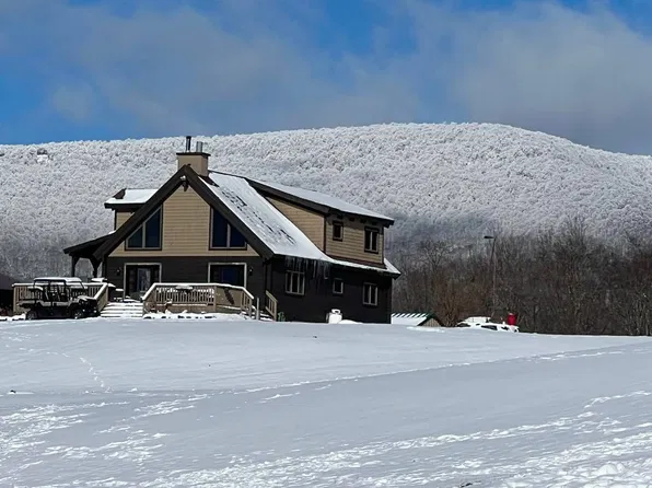 115 Bouton Rd, Halcott Center, NY 12430