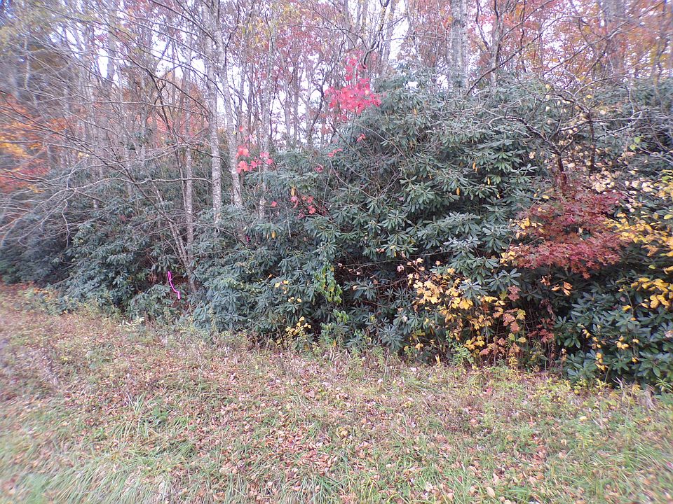 2nd image of Arney Ln