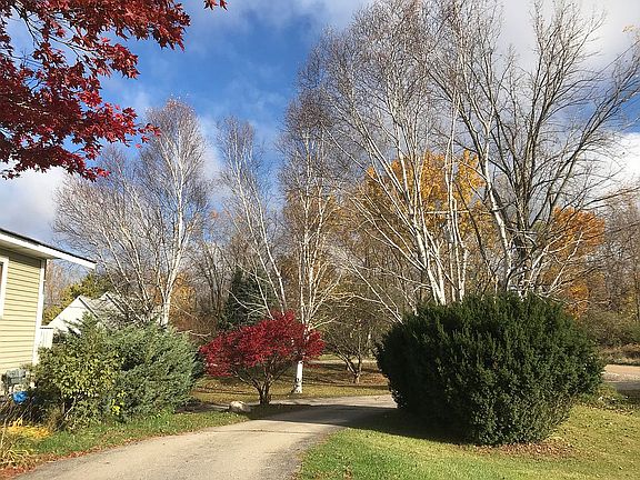 3rd image of 3560 Brent Dr