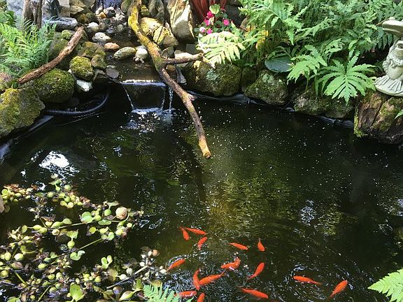 3rd image of 1395 Sleepy Hollow Rd