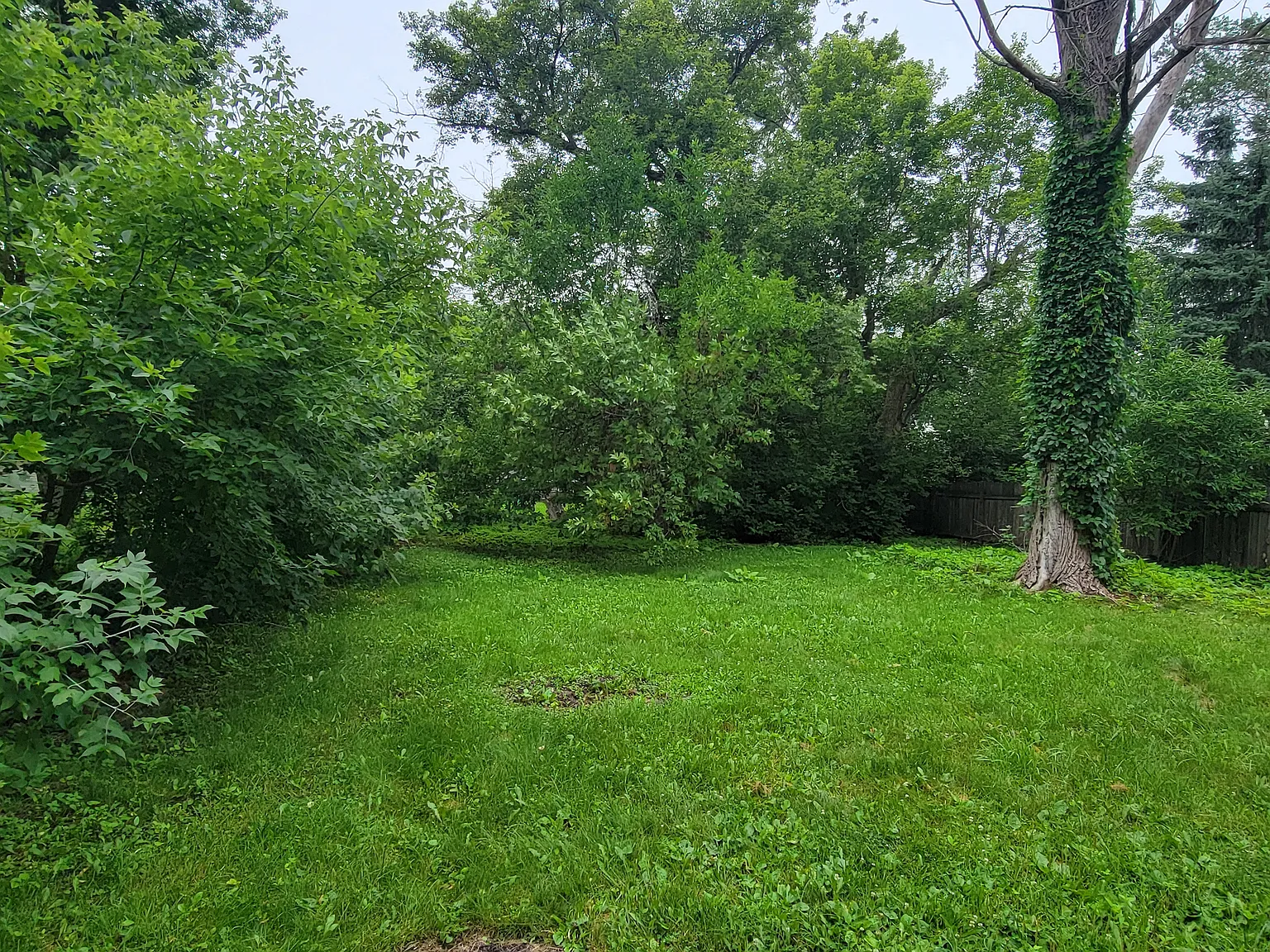 4 Bed / 1 Bath house near Concordia & MSUM! Available NOW! — Photo 2