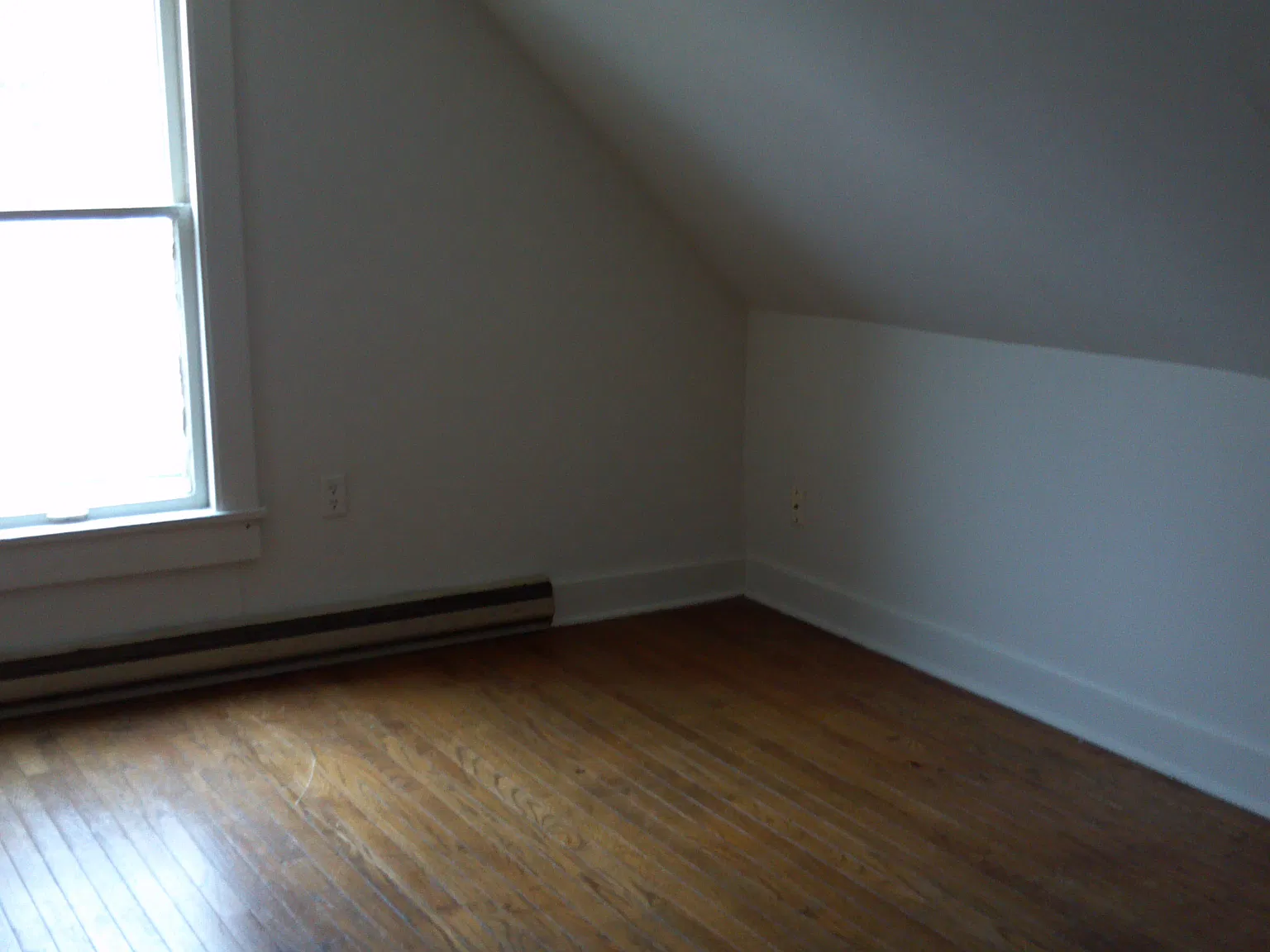 1 bed, $800 — Photo 4