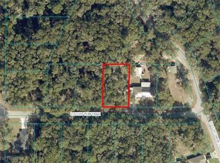 12 Locust Run Trak, Ocala, FL 34472