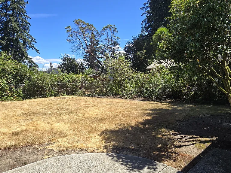 Fenced Back Yard