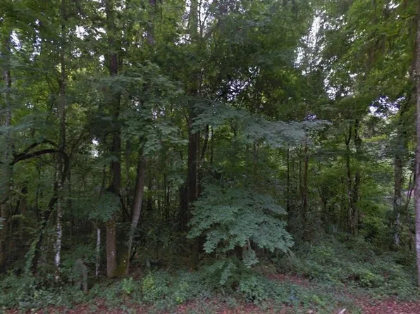SE 42ND COURT LOT 5, BELLEVIEW, FL 34420