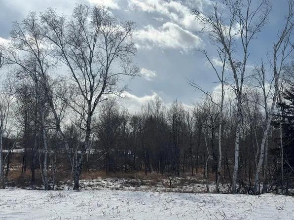 2458 179th Ave NE, Andover, MN 55304