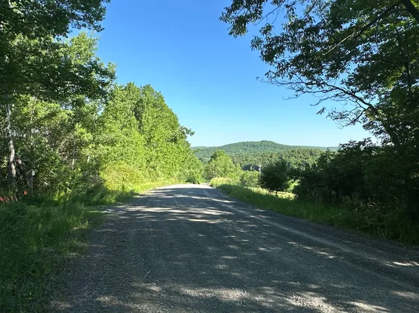 00WP Sternberg Rd, Jefferson, NY 12093