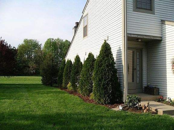 Newly planted shrubs along end of unit