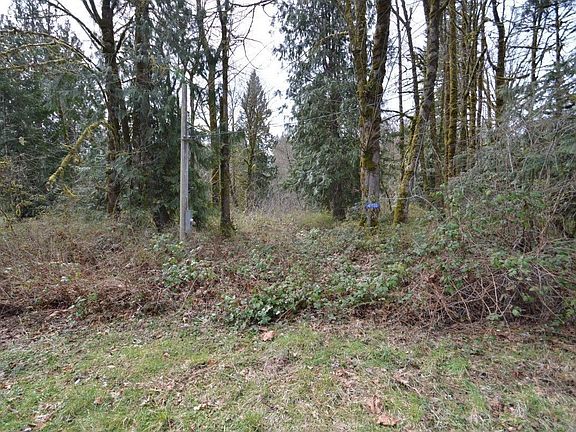 4th image of 41530 Cape Horn Dr