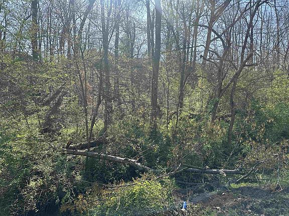 2nd image of 0 Crump Landing Rd Lot 2